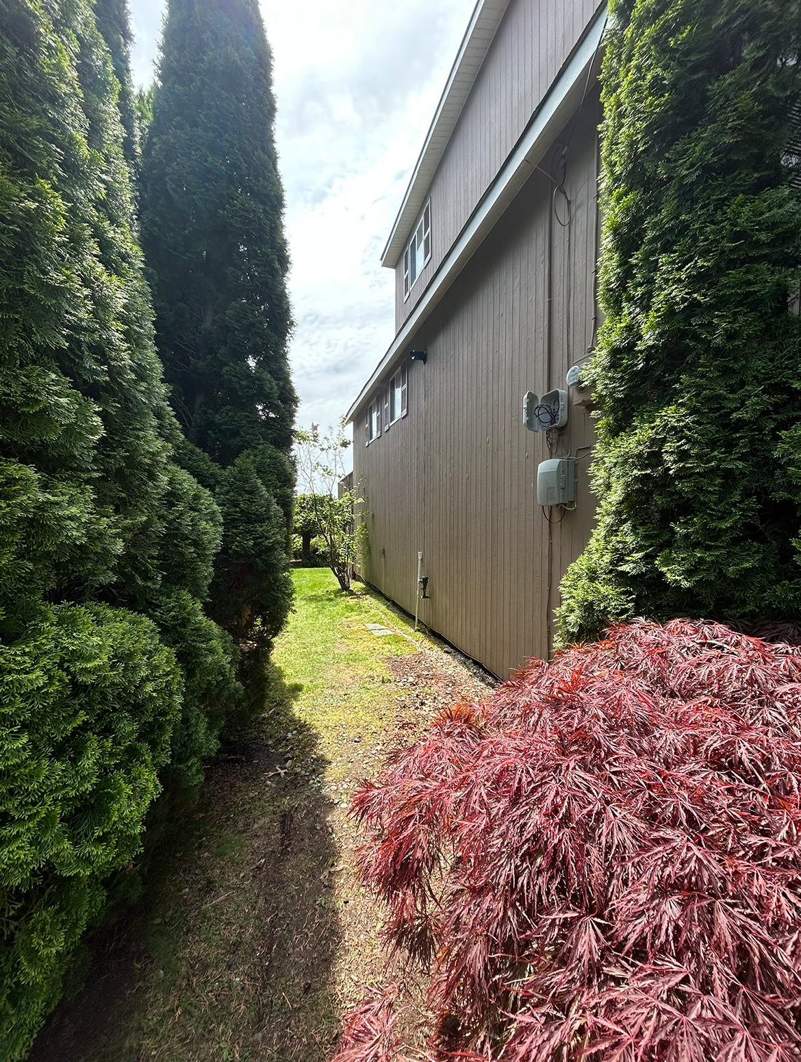 A narrow path leading to a house surrounded by trees and bushes.