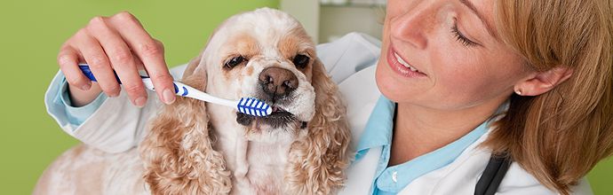 Toothbrushing