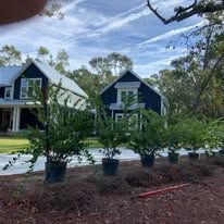 A couple of houses with potted plants in front of them.
