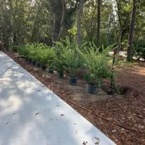 A row of potted plants along the side of a road.