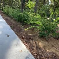 A concrete walkway surrounded by trees and bushes in a park.