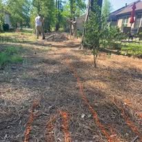 A group of people are standing in a dirt field in front of a house.