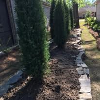 A row of trees lined up next to a stone wall in a yard.