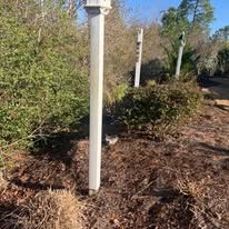 A white pole is sitting in the middle of a lush green forest.