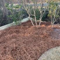 A pile of pine needles sitting on top of a lush green field.