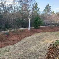 There is a white pole in the middle of the yard.