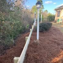 A wooden fence is surrounded by pine needles and a lamp post.