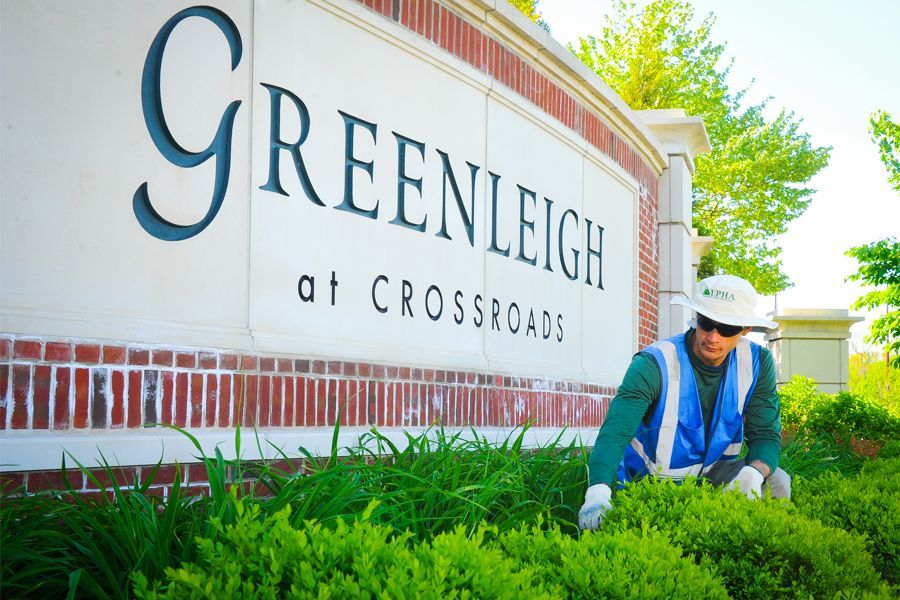 Commercial landscape Design