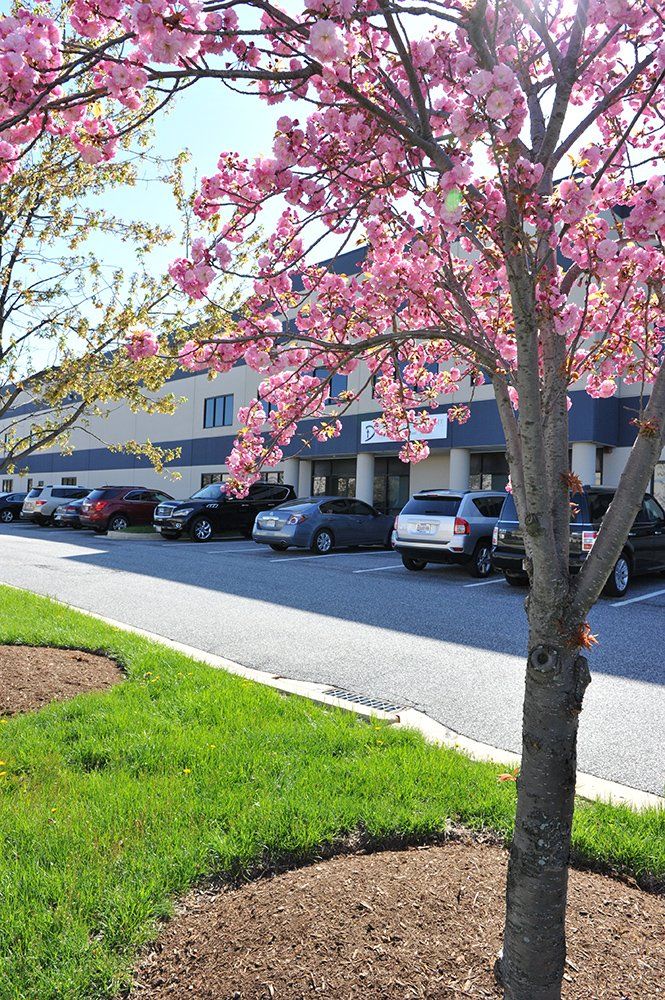 Commercial landscape service