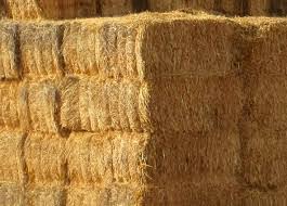 Medium River Rock $62.50 per ton