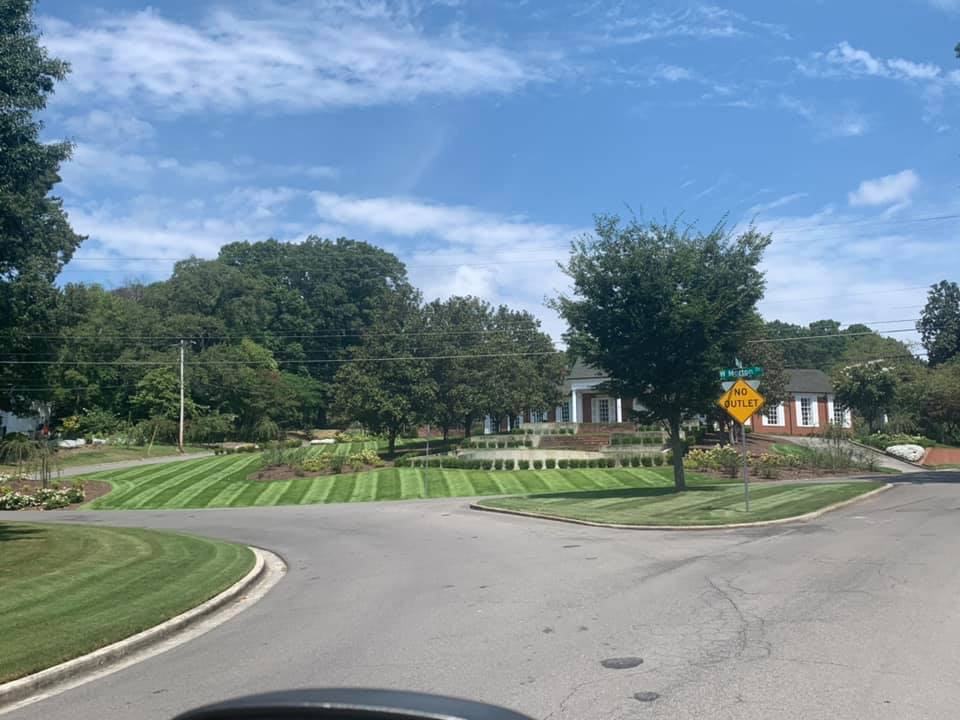Beautiful lawn