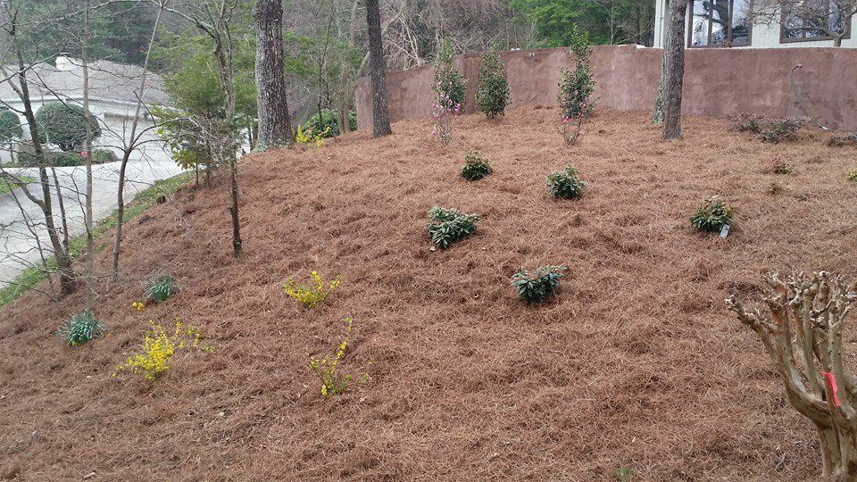 Landscape mulch
