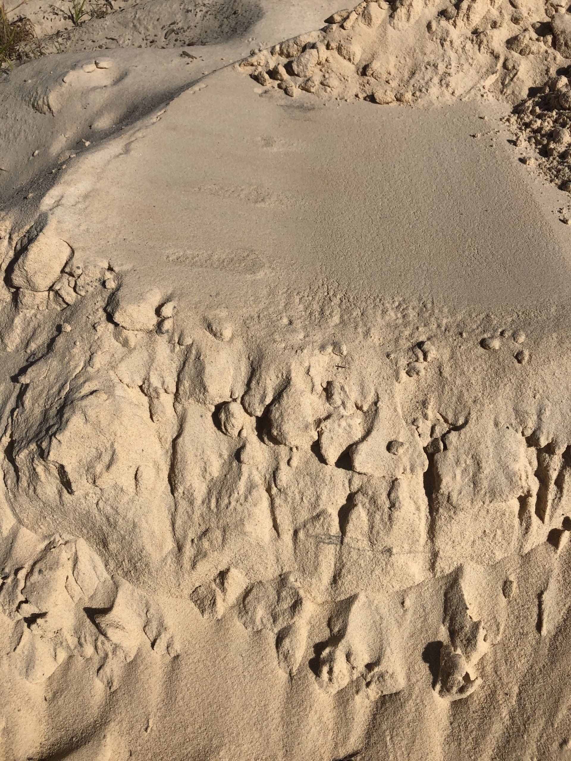 Masonry Sand $65.00 per ton