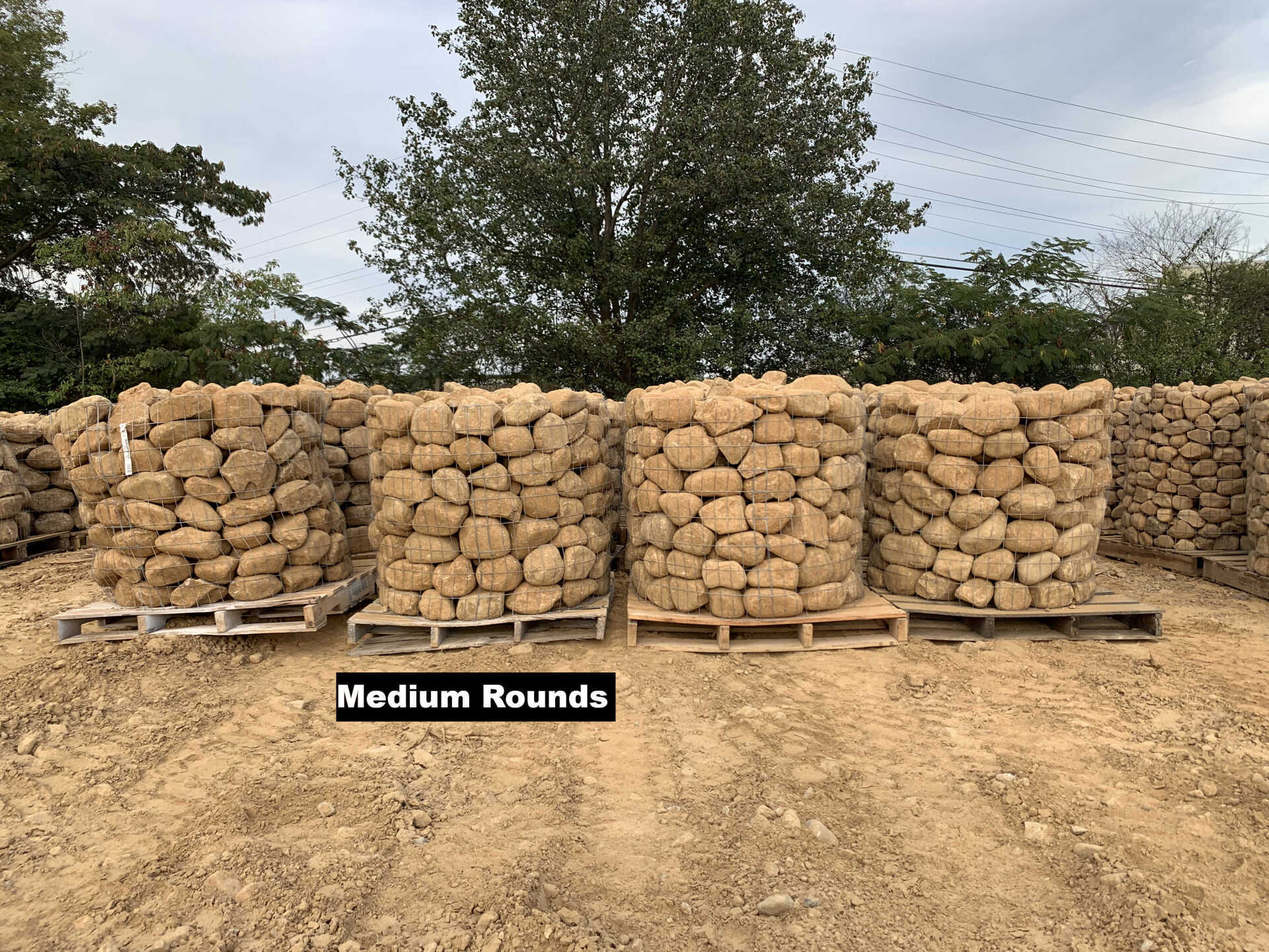 Medium Rounds $0.10 per pound