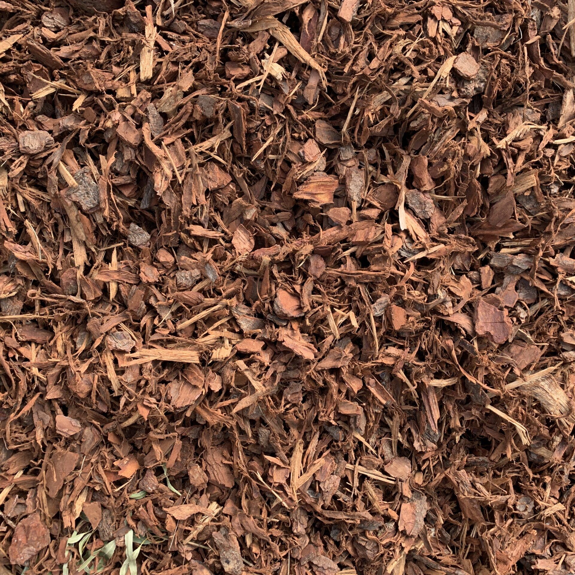 Pine Mulch $26.00 per yard