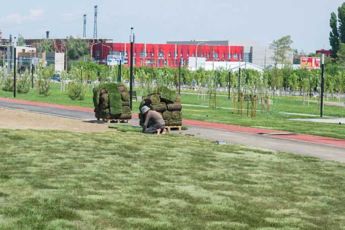 Soldiers crouch beside a black dog on a grassy park path, with buildings and trees in the background