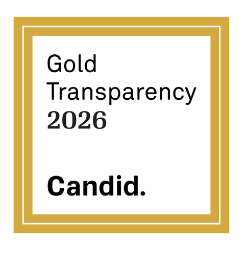 Candid Gold Transparency 2023