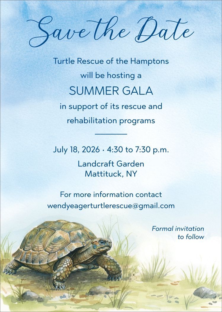 Blue turtle-themed save-the-date for a summer gala with event details and date in Minnesota, Kentucky