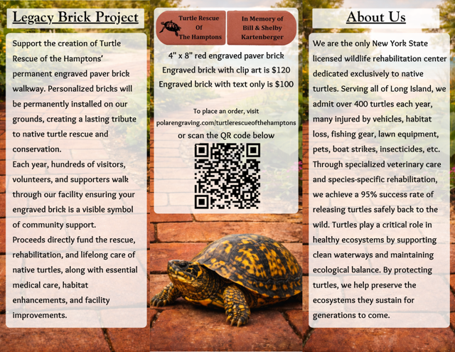 Tri-fold brochure for a turtle rescue. It highlights a brick project to raise money. A turtle is in the center.