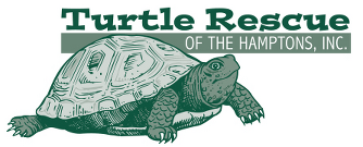 Turtle Rescue Of The Hamptons -Logo