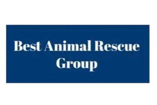 Best Animal Rescue Group
