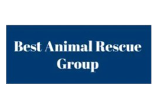 Best Animal Rescue Group