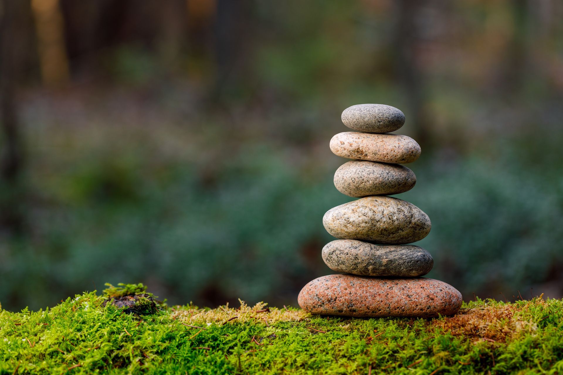Stacked smooth stones on mossy ground with a blurred forest background