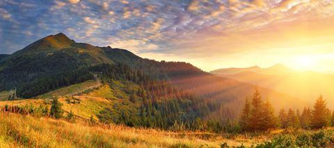 Sunlit mountain landscape with golden autumn trees and misty sunrise over rolling hills