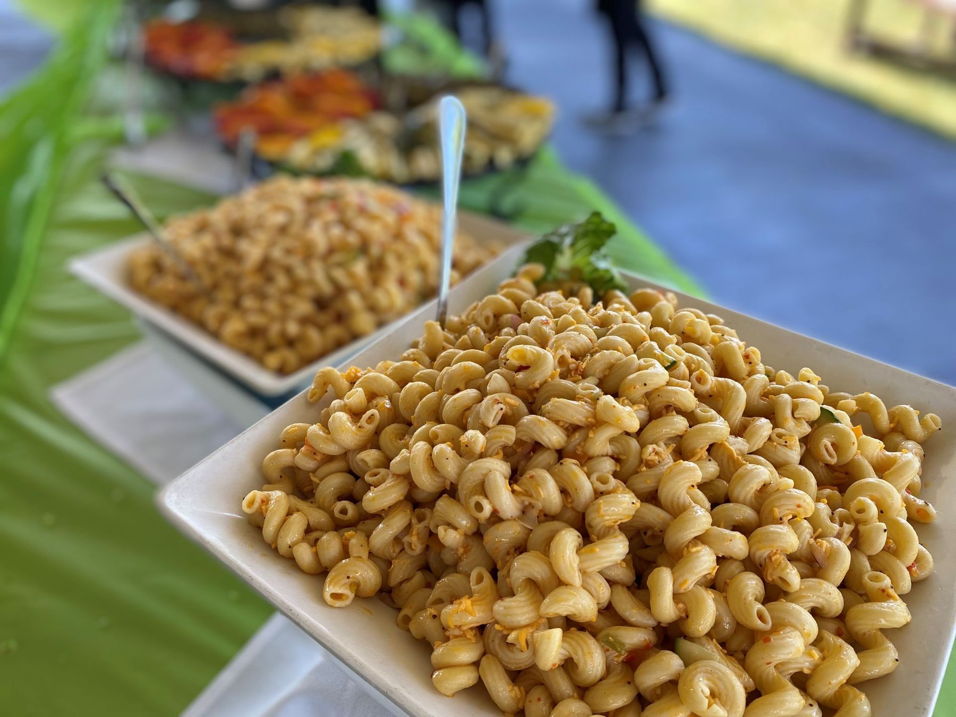 Pasta buffet with various shapes and sauces on a table covered in green fabric.