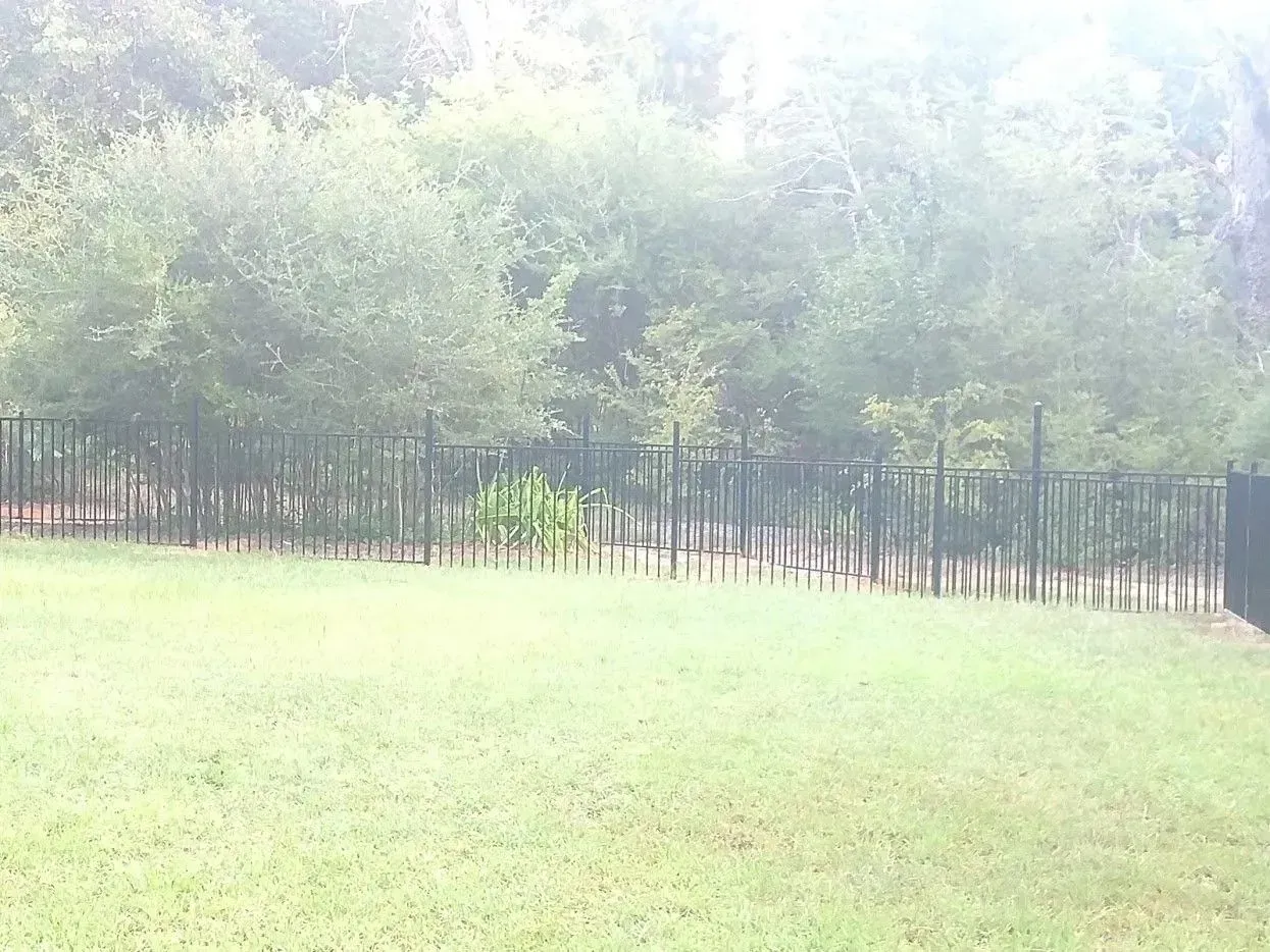 Green lawn with a metal fence bordering a forest. Overcast sky.