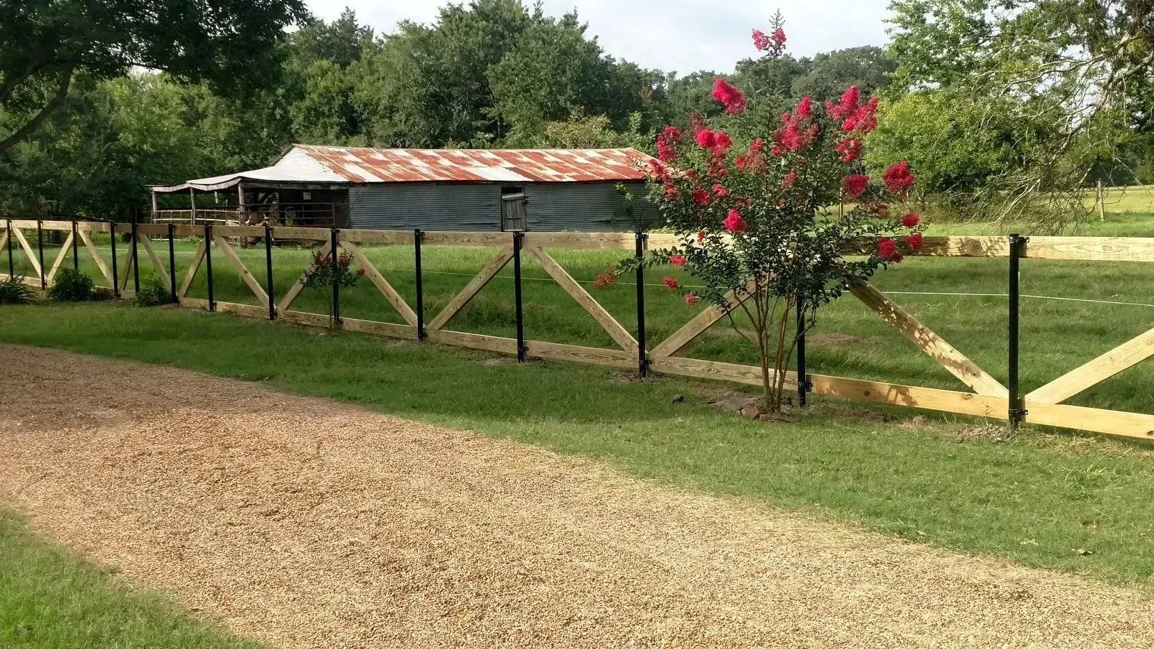 Gravel path next to a grassy yard with a wooden fence. Behind the fence is a building with a tin roof.