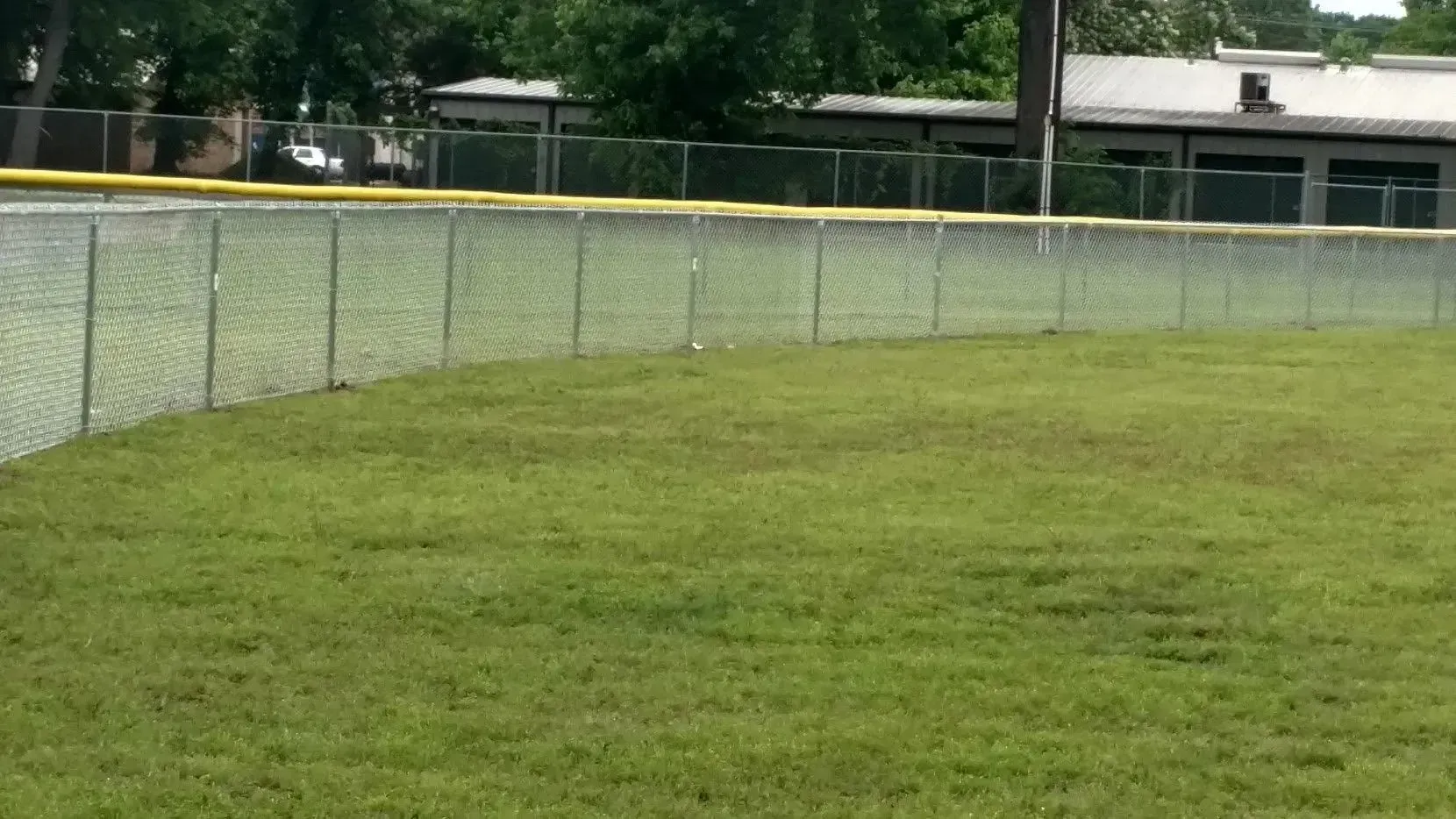 Chain-link fence bordering a grassy field, a building is visible in the background.