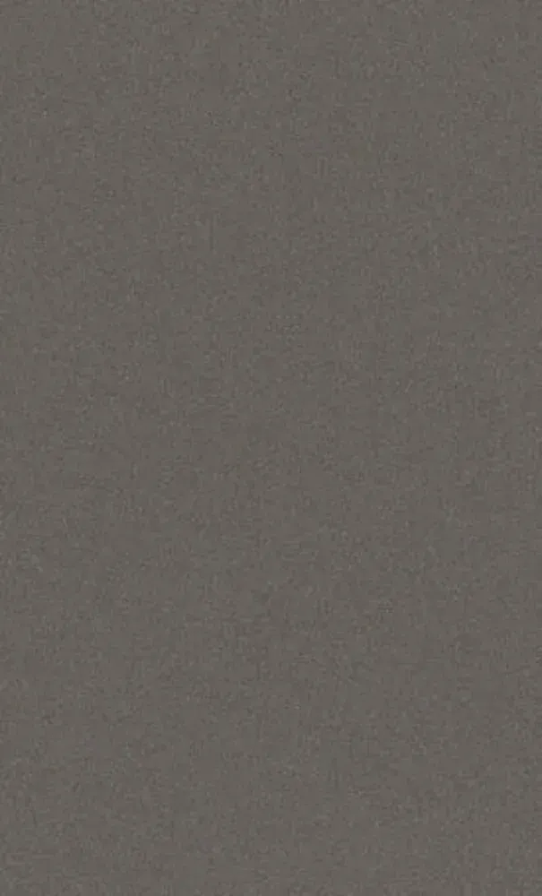 Solid dark gray background with slight texture.