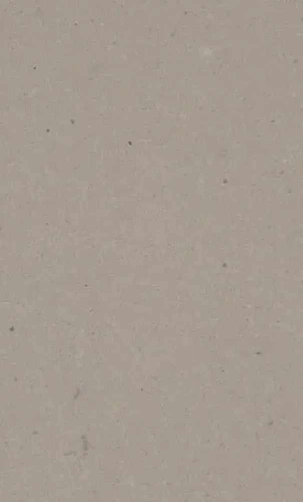 Solid, pale taupe background.