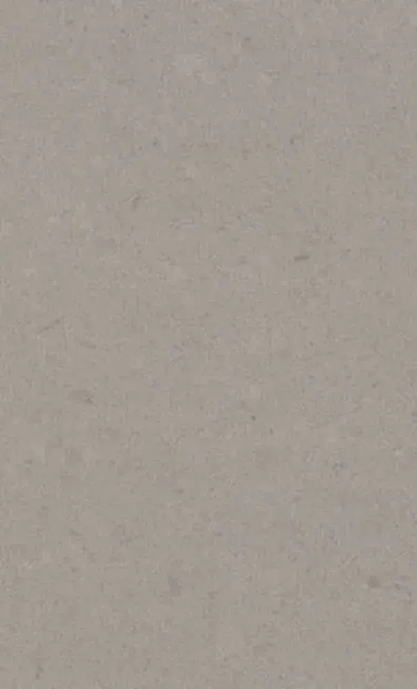 Gray, textured surface; possibly stone or tile.