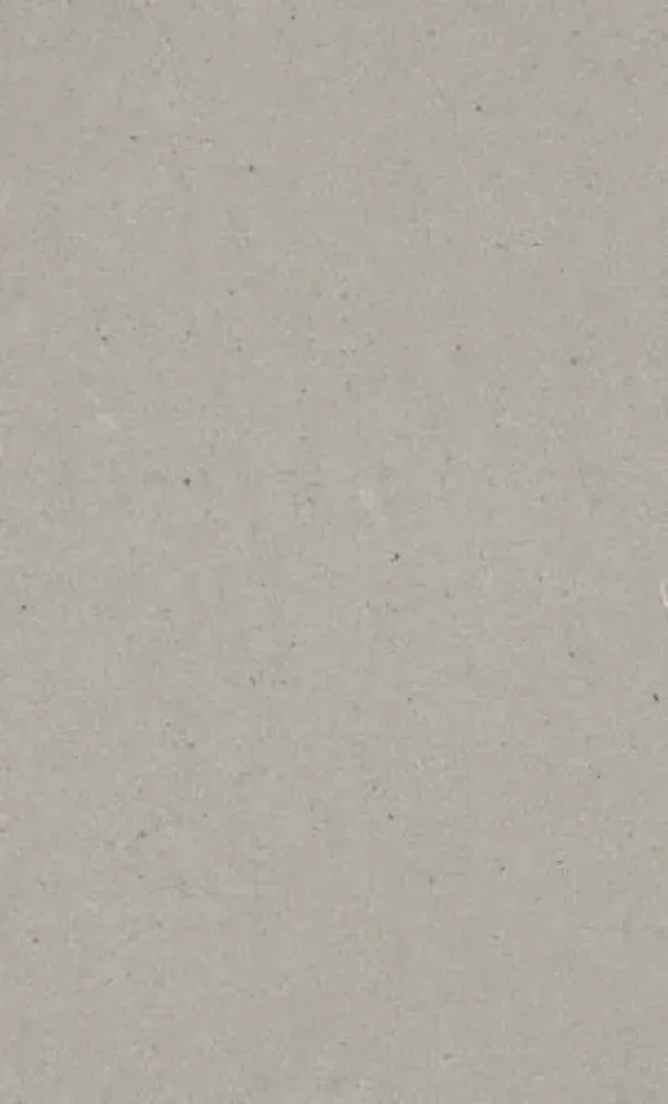 Beige textured surface with small flecks.