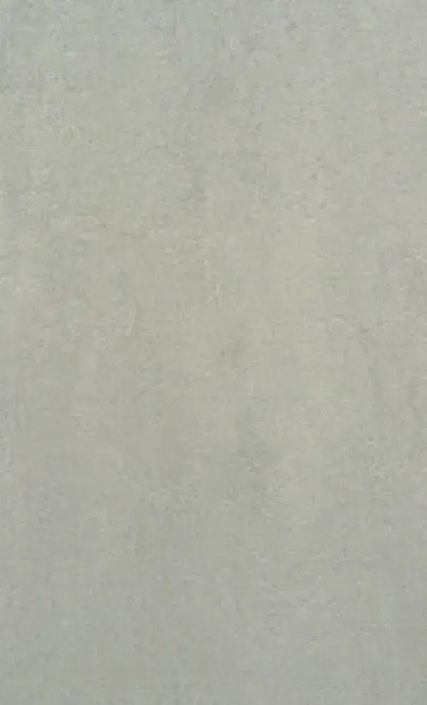 Gray-toned wall with a textured surface, appearing smooth with subtle variations in color and shading.