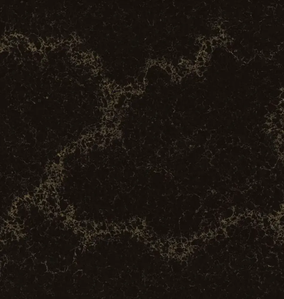 Dark countertop with intricate light veining.