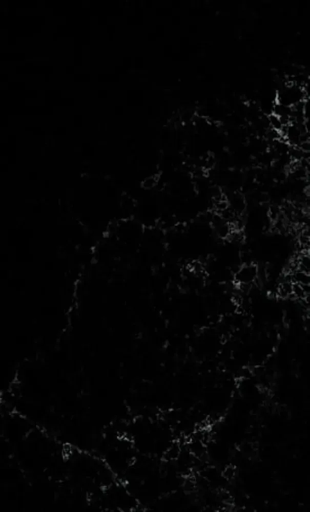 Black marble with white veining.