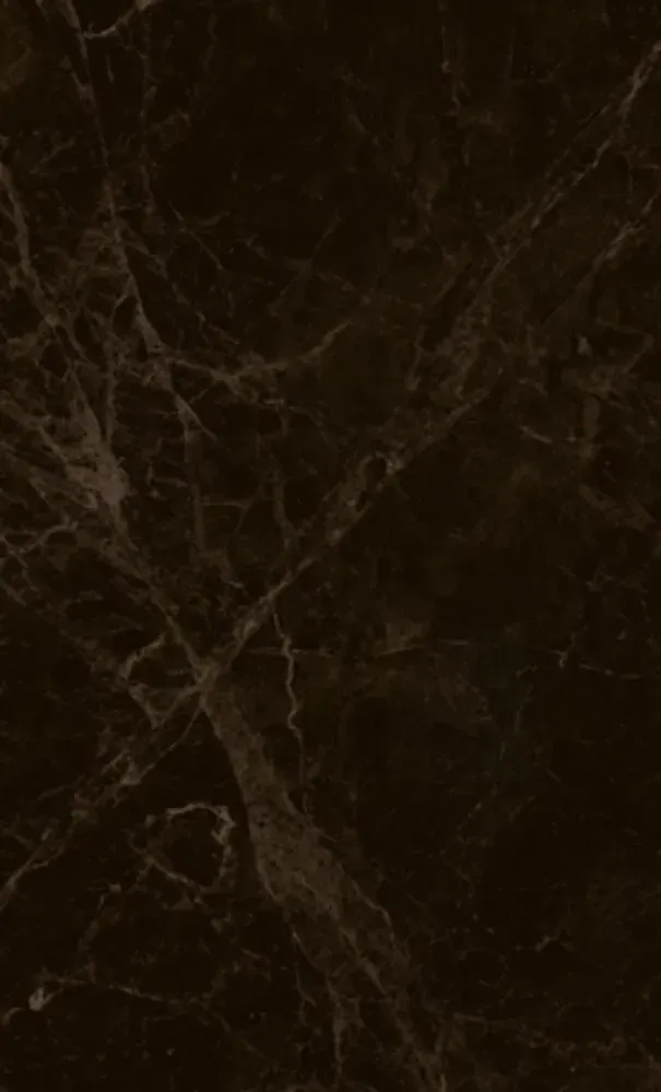 Dark brown marble with veining.