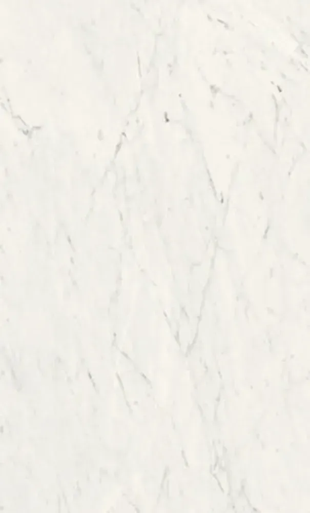 White marble with subtle gray veining.