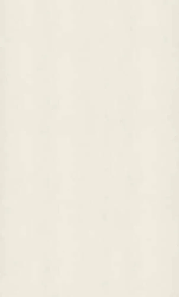 Off-white solid background.