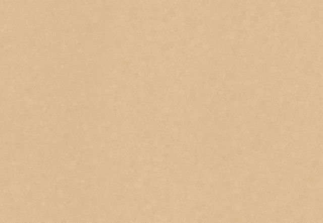 Plain, light tan background with subtle texture.