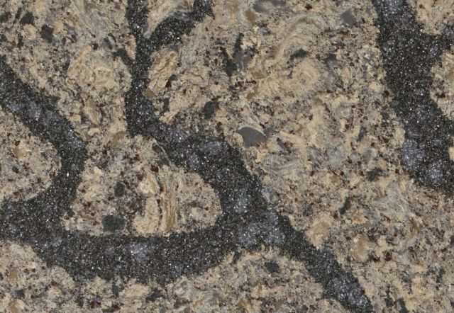 Close-up of a speckled beige and gray stone surface with dark, vein-like patterns.