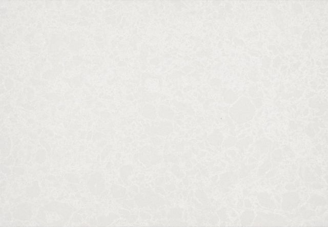 White background with subtle, organic veining.