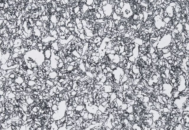 Microscopic view of a metal structure, displaying irregular shapes and varying shades of gray with white regions.