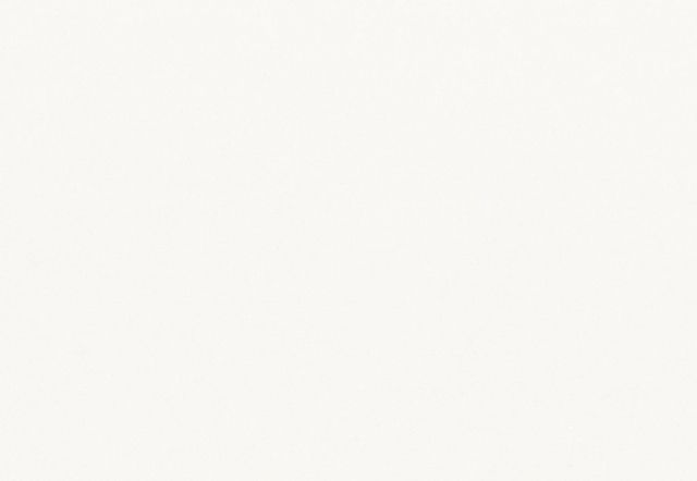 Off-white solid background.