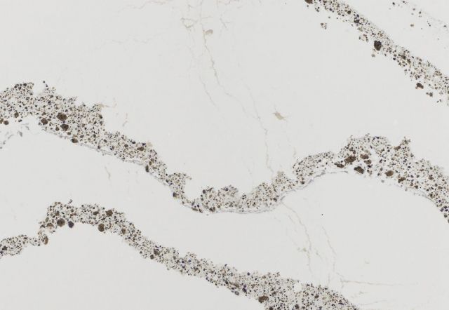 White countertop with flowing gray veining and speckled details.