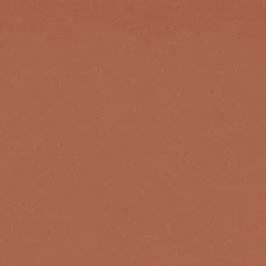 Solid, flat terracotta-colored background.