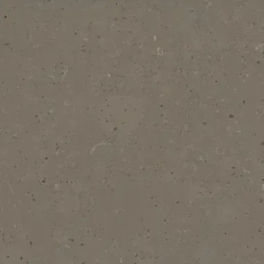 Textured, taupe-colored surface with tiny dark specks.